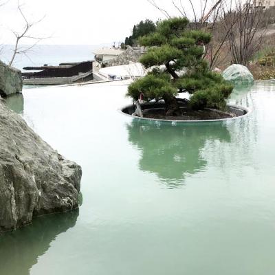 Media Share 0 02 04 5f71dd7a51b536db34d853421b5f8c231a36b213dfde84b30014d0f2d7f577be C0ffeacf 349e 4a0d 9cfb 6d2e3d58991a